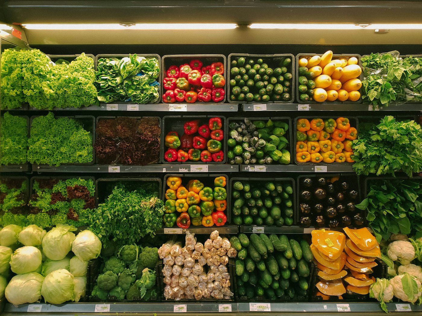 Benefits of Organic Food: Why It Matters for Your Family