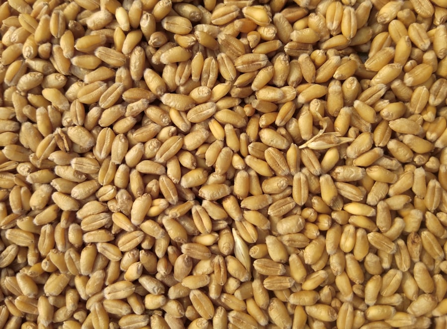 Native Wheat — Stone-ground · Sun-aged | Anjana Organics
